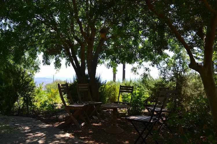 Shady gardens in Cyprus