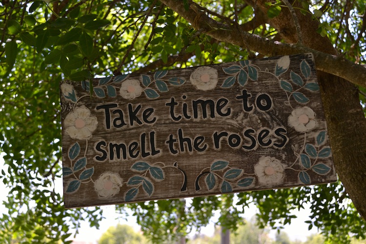 Take time to smell the roses