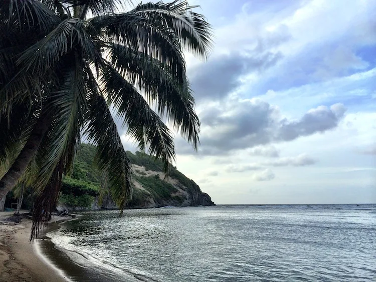 Beach near Atlantic View Resort