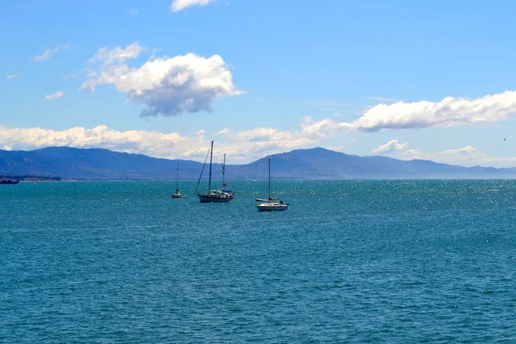 Boats in the ocean at Santa Barbara