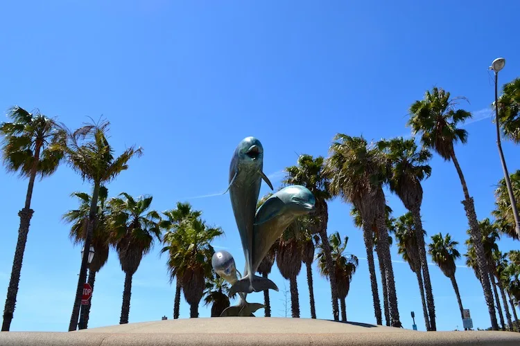 Dolphins at Santa Barbara