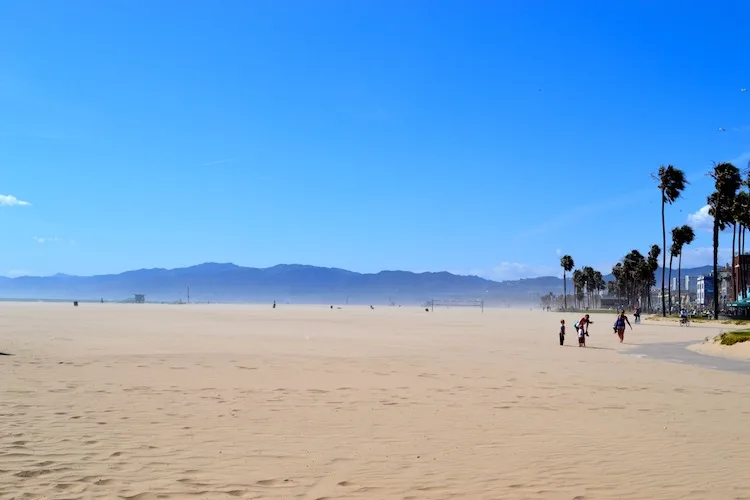 Windy Venice Beach