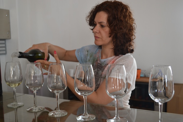 Wine tasting in Cyprus