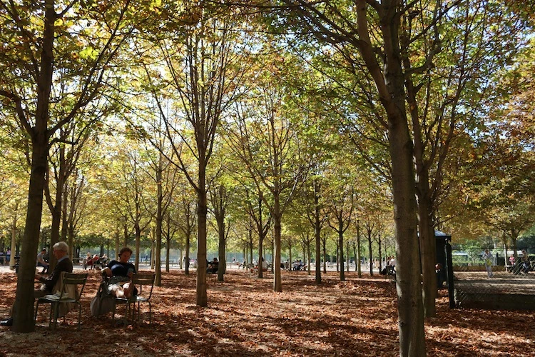 Autumn in Paris