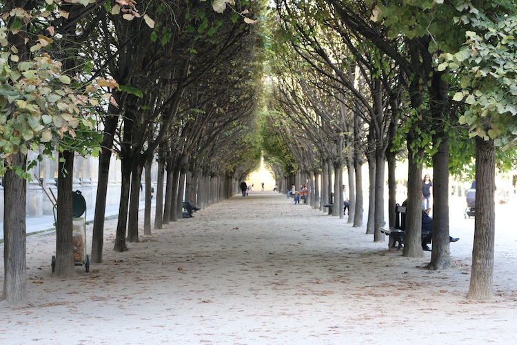 Royal Palace gardens Paris