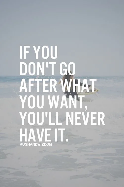 If you don't go after what you want you'll never have it