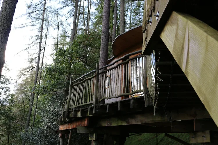 Tree house with living-room.co