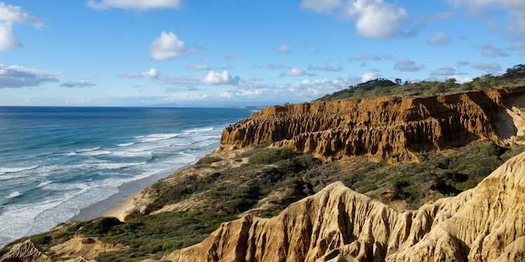 Torrey Pines State Beach