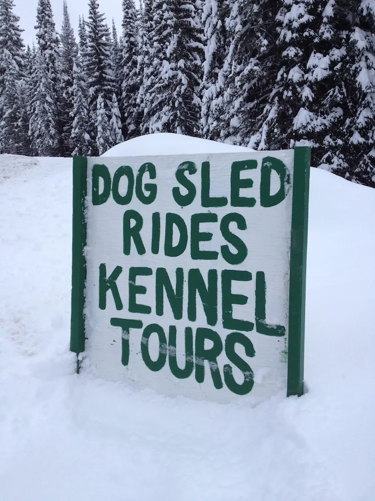 Dog Sledding at Sun Peaks in Canada