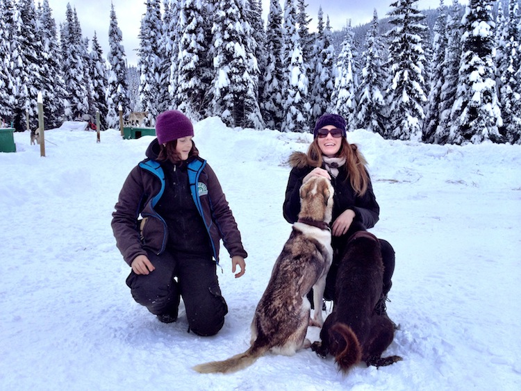 Sled Dogs | The Travel Hack