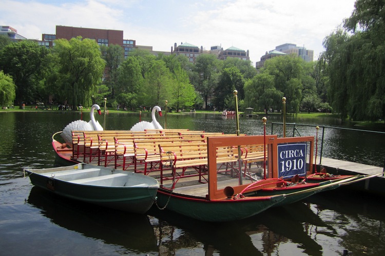 Swan boats in Boston