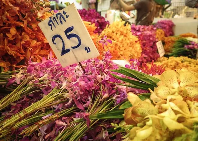 Chiang Mai - Nighttime Flowers