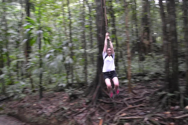 Jungle swinging in Dominica