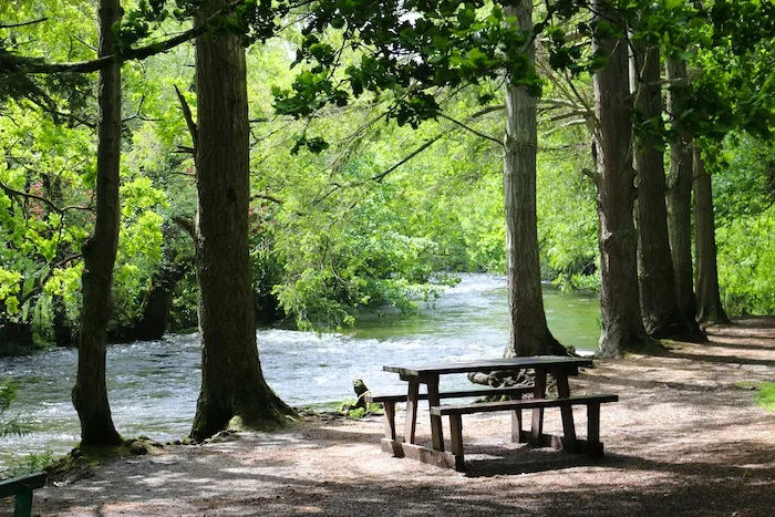 Picnic bench next to the river