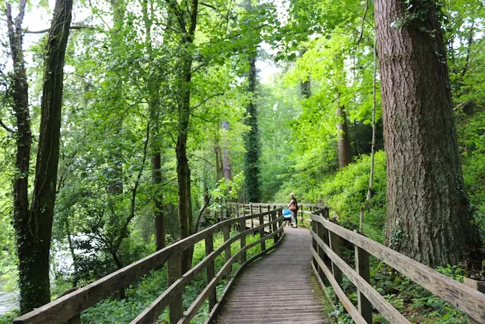 Walking trail in Betws-y-Coed