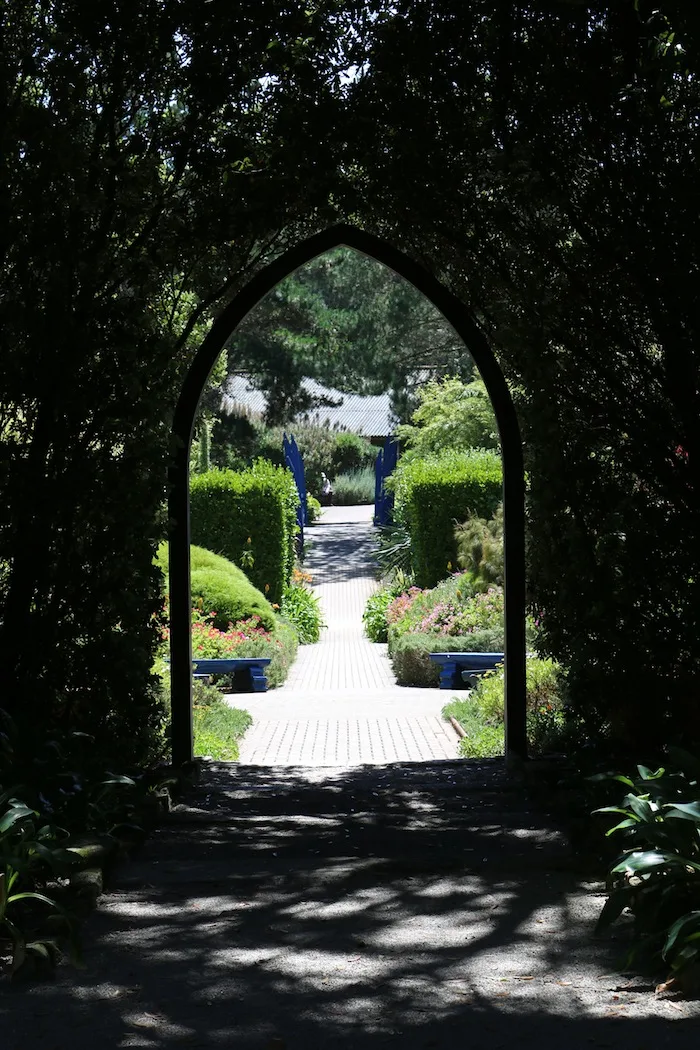 Isles of Scilly | Tresco gardens