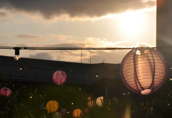 John Lewis Roof Garden