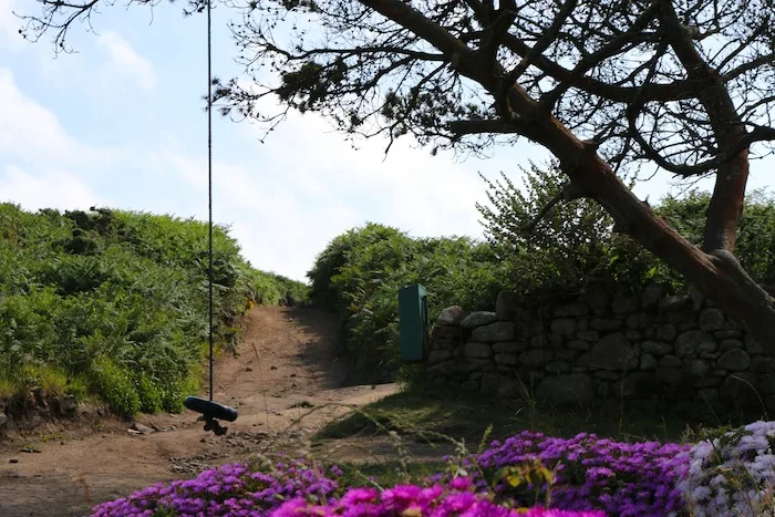 Rope swing on Bryher Island