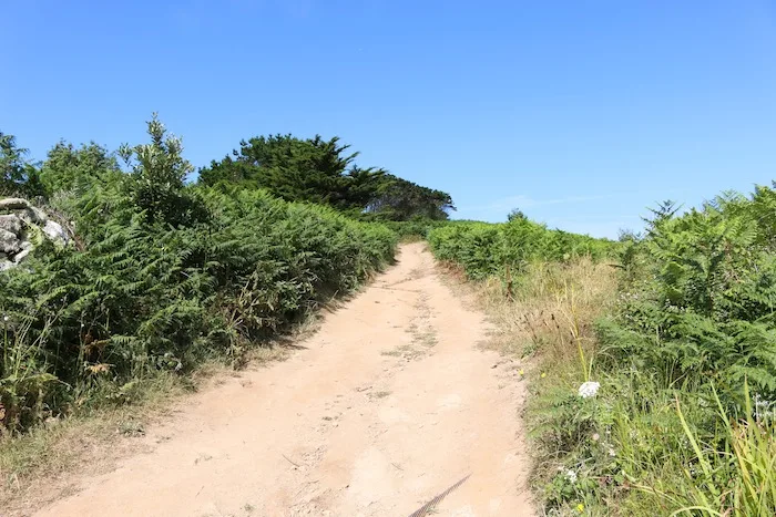 Walking tracks on St Agnes | The Scilly Isles