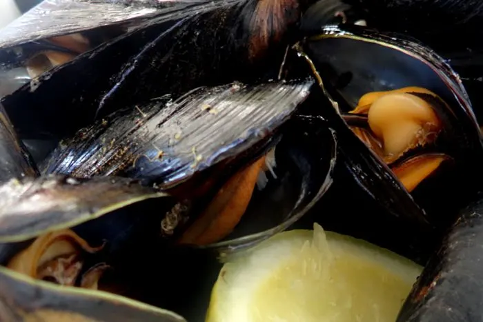 mussels