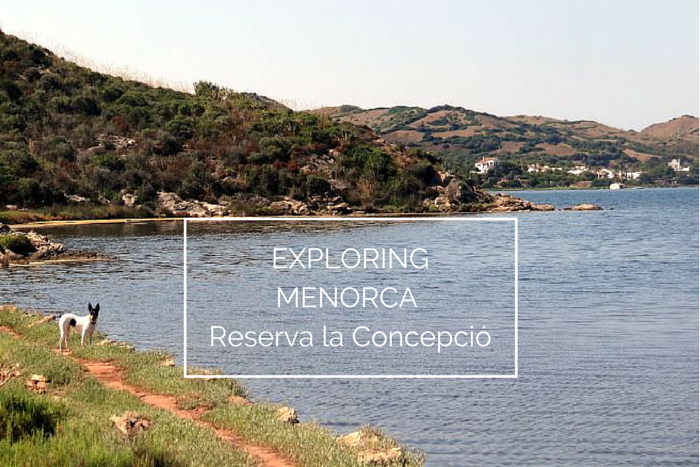 A Secret Side to Menorca: Reserva la Concepció Salt Flats