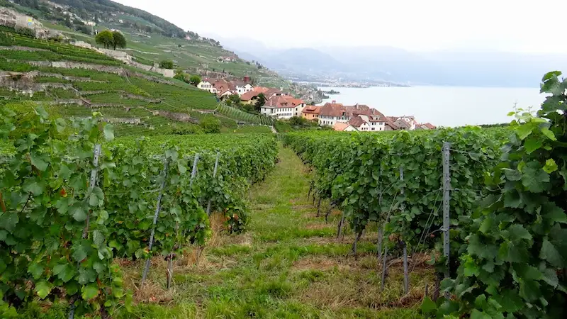 A Perfect Day in Ouchy 4