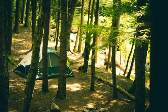 Camping Survival Guide