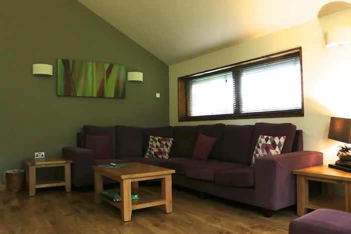 Forest Holidays Silver Birch Cabin - Living room Sherwood Forest