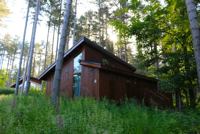 Forest Holidays Silver Birch Cabin Review