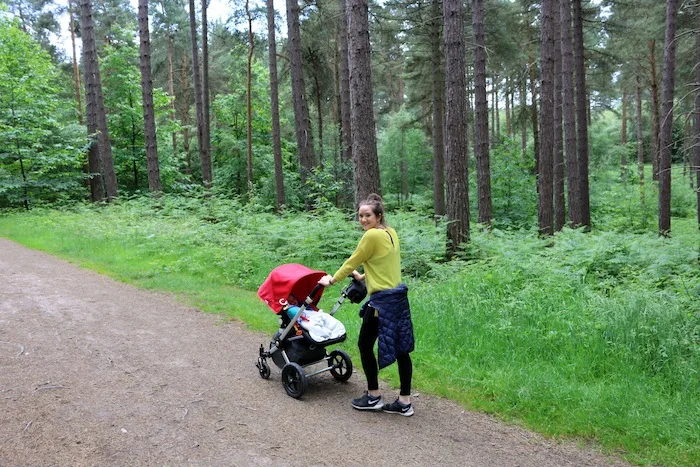 Walks through Sherwood Forest