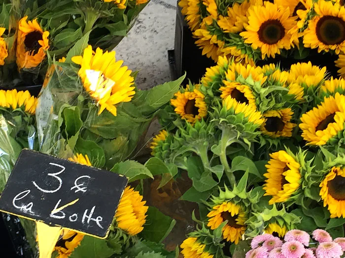 Aix Flower Market