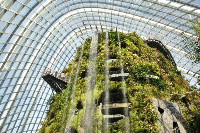 Essential Singapore Experiences - Nature