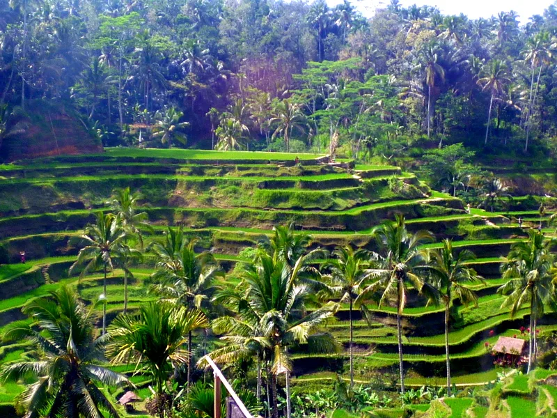 Reasons to Love Bali