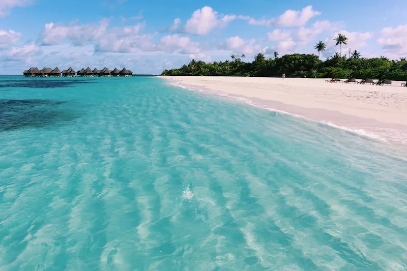 Coco Palm Dhuni Kolhu