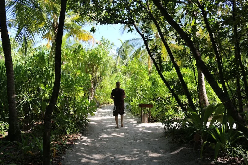 Coco Palm Dhuni Kolhu 2