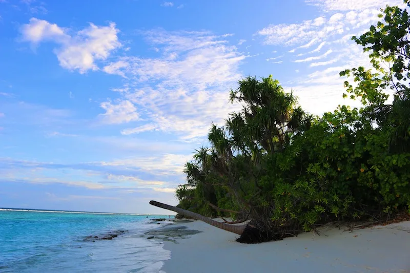 Coco Palm Dhuni Kolhu