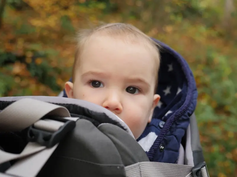 LittleLife All Terrain Carrier Review | The Travel Hack