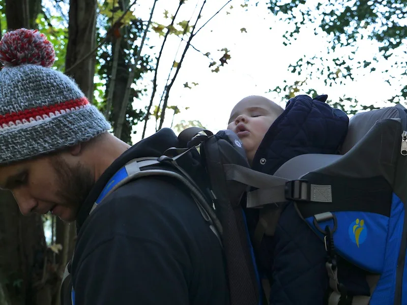 LittleLife All Terrain Carrier - sleeping baby