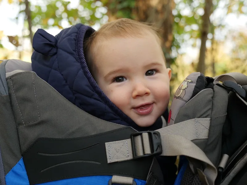 The Tiny Travel Hack reviews the LittleLife All Terrain Carrier