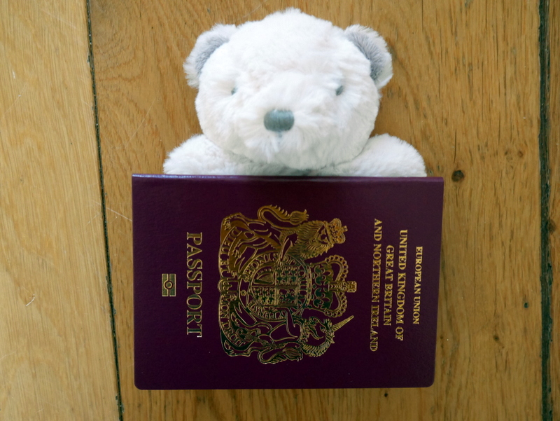 Baby Passport, Baby Travel