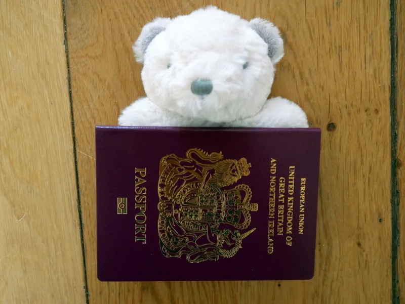 Baby Passport, Baby Travel