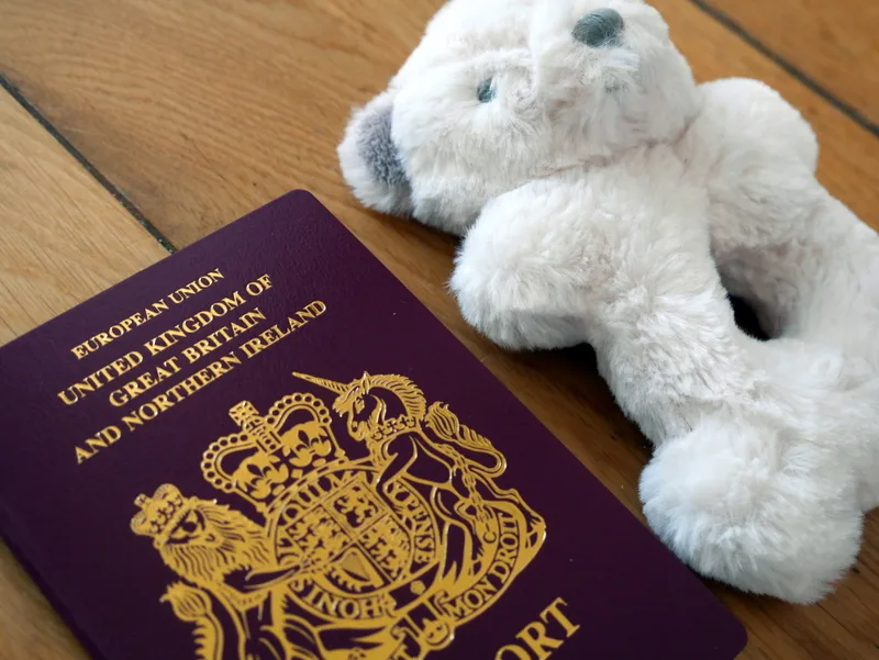 Travel teddy bear clearance with passport