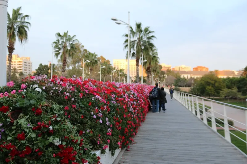 Flower bridge Valencia