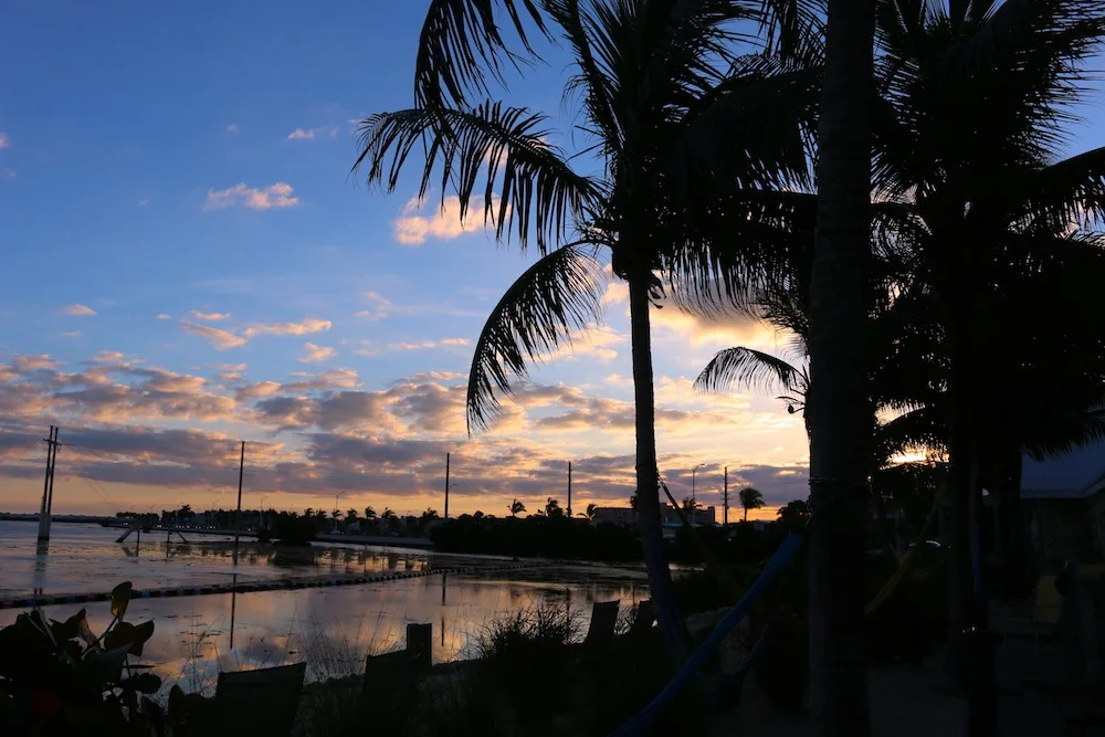 Sunrise from Ibis Bay Resort, Key West, Florida