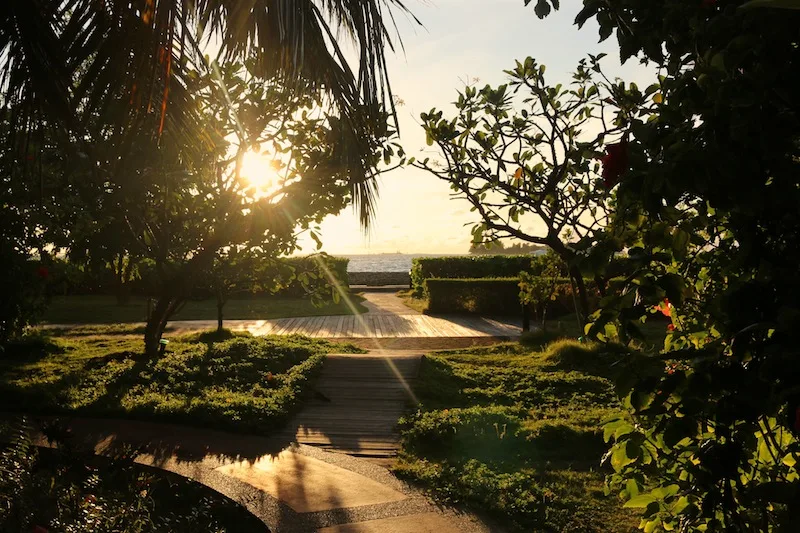 Sunset and gardens at Hulhule Island Hotel