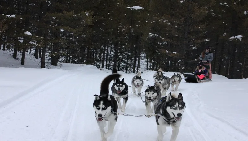 A weekend in Colorado for non-skiiers