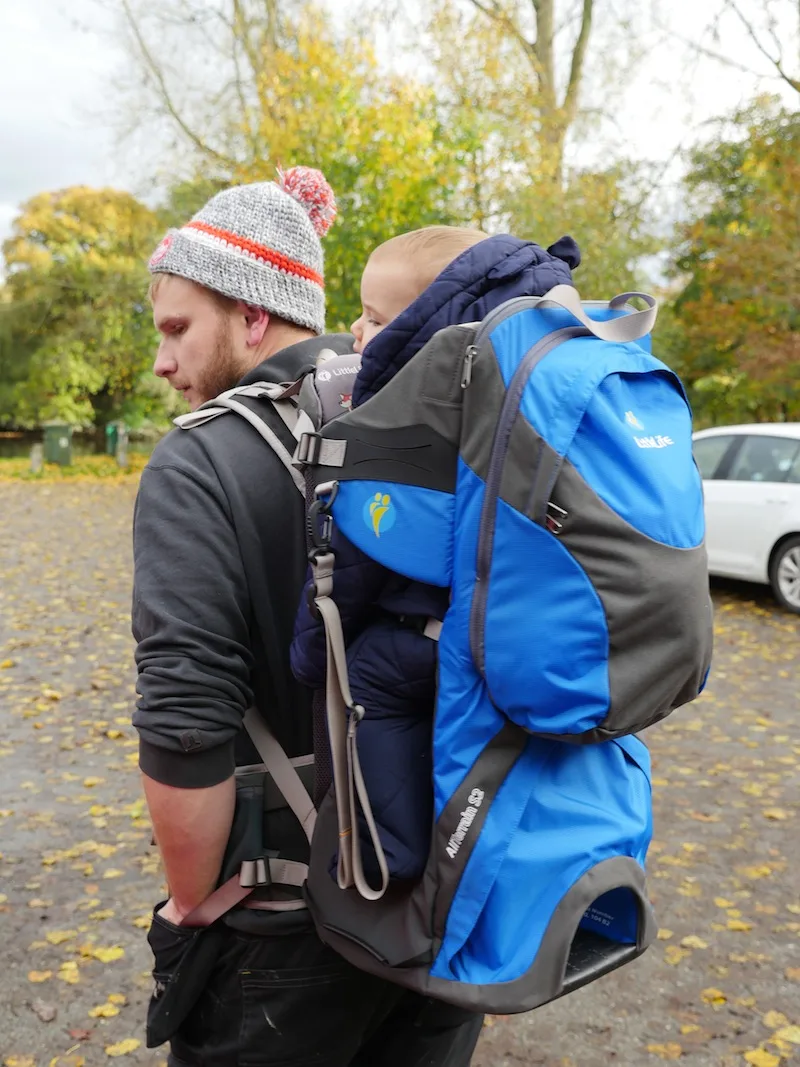 LittleLife All Terrain Carrier Review for Baby