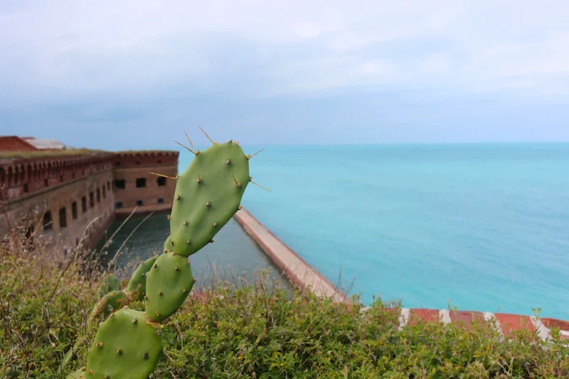 Views from Fort Jefferson