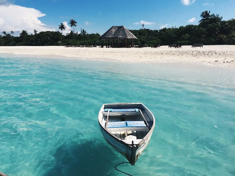 Teeny, tiny turtles hatching in the Maldives! - The Travel Hack