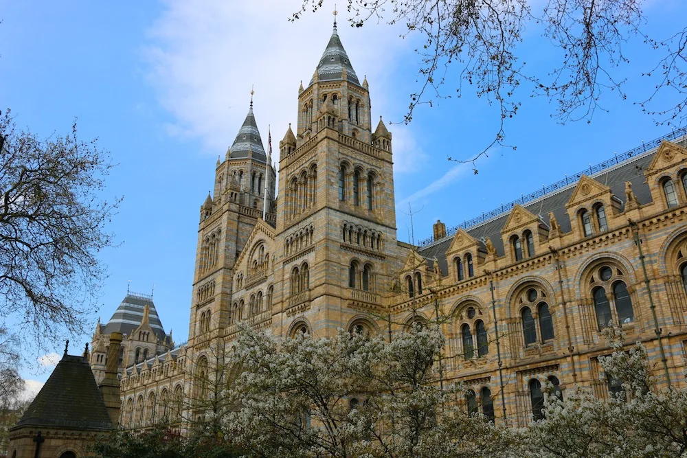 Natural history musuem London